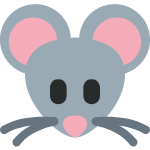 🐭